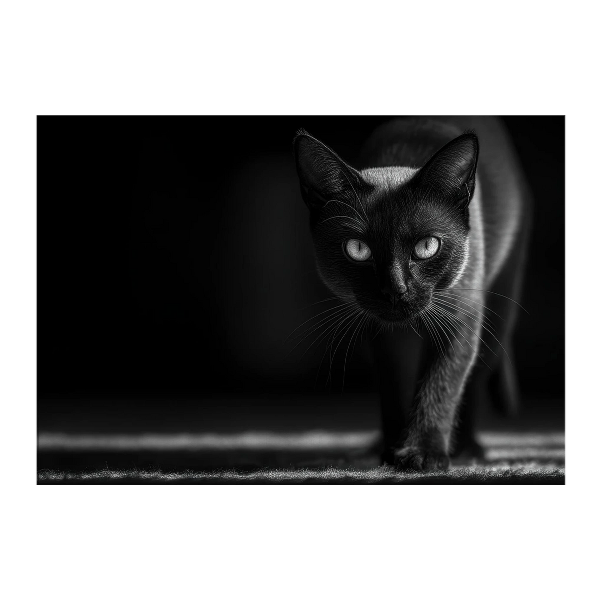 c15f068b-fdd8-48e2-a433-d04f956504b4