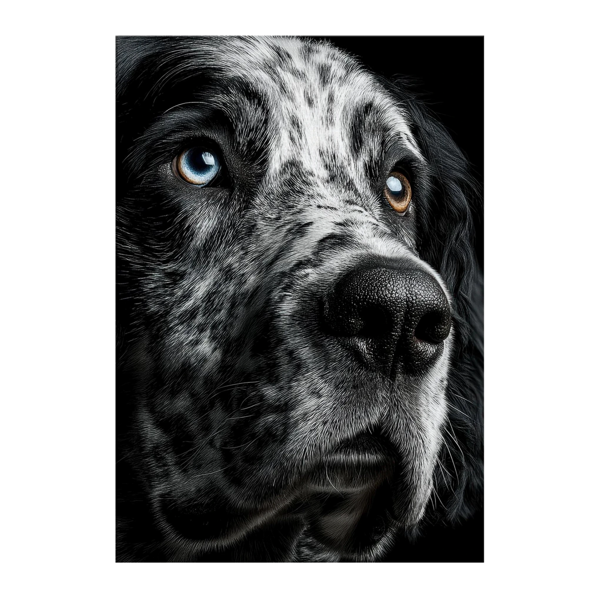 fa506742-7069-44f6-8eb5-6c958daa7afd