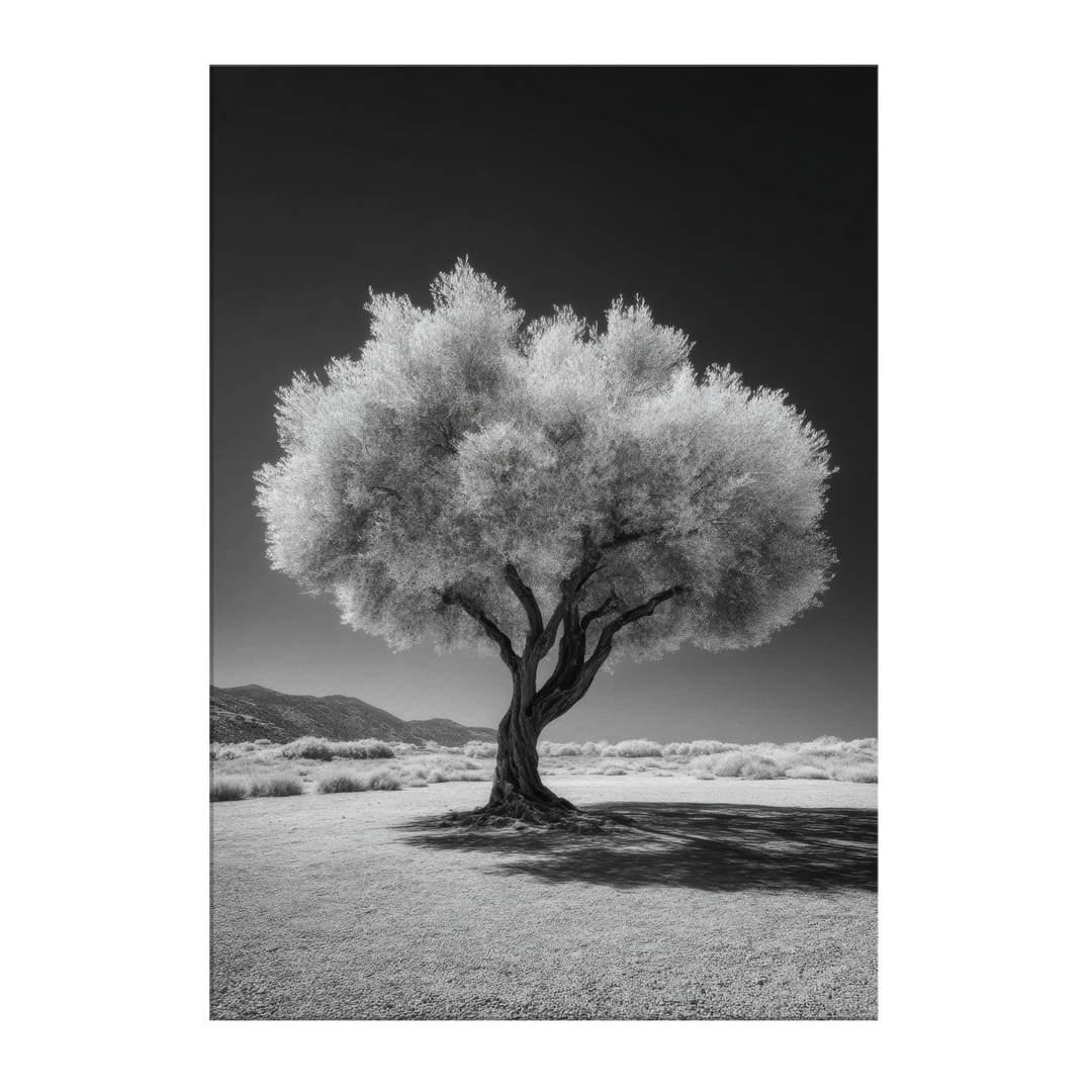 1d27d581-4087-45f1-97c0-7b5975666a91