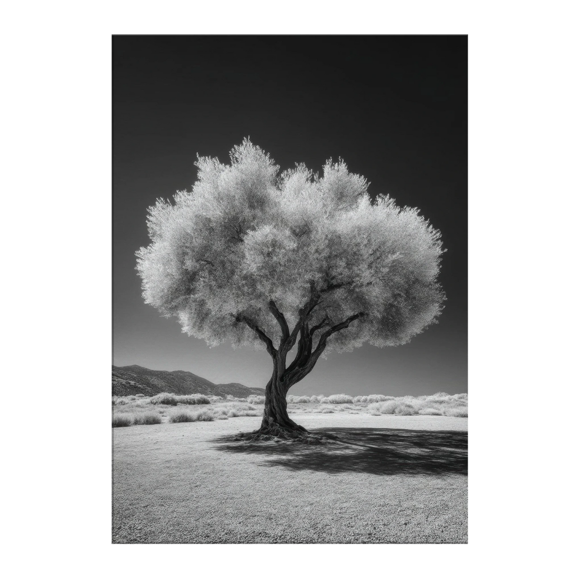 1d27d581-4087-45f1-97c0-7b5975666a91