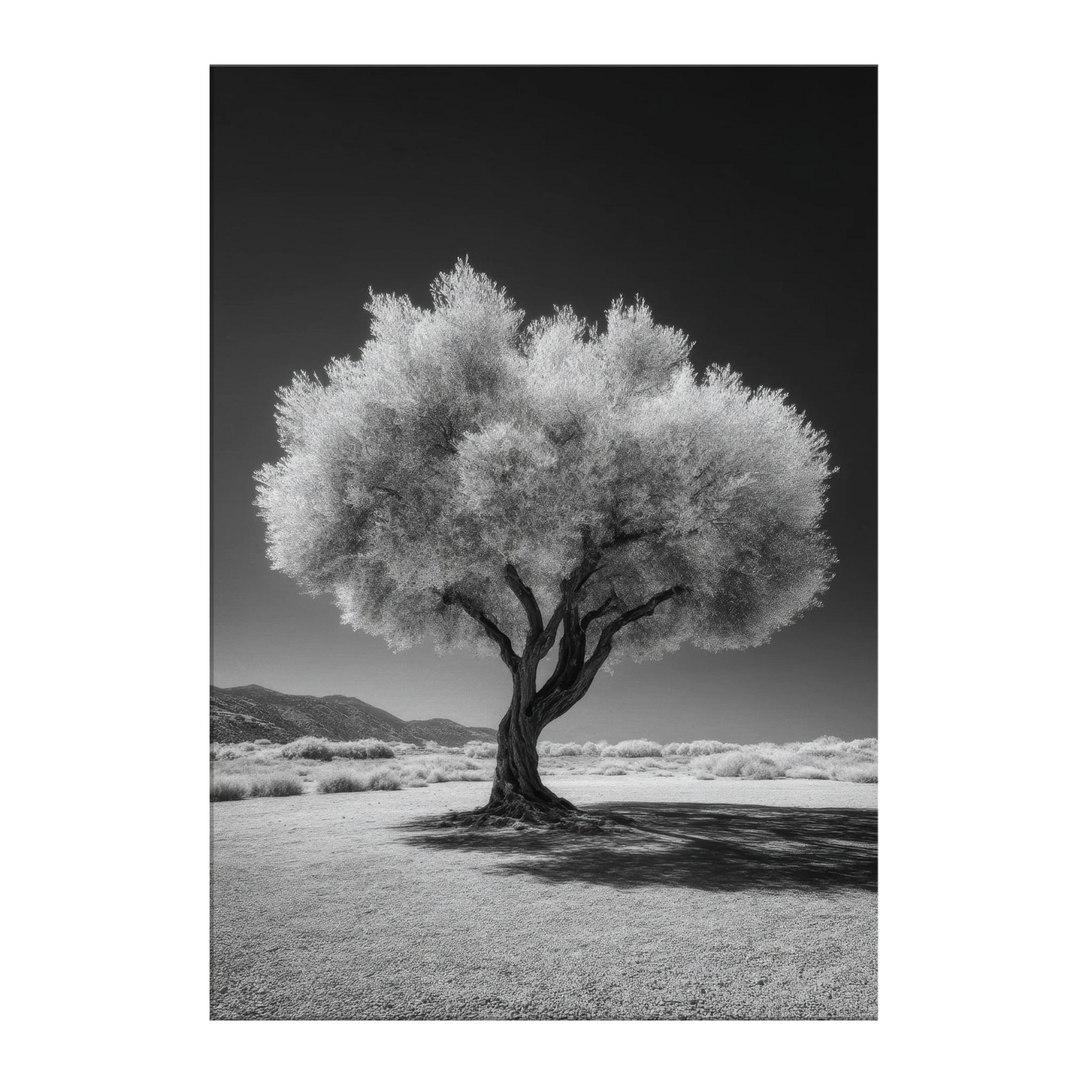 1d27d581-4087-45f1-97c0-7b5975666a91