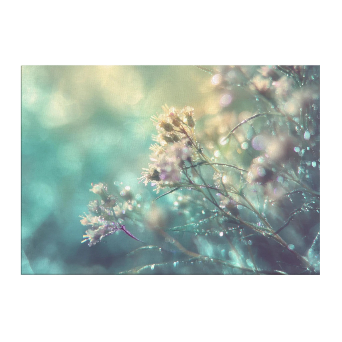 4669b8fd-76c0-4f56-b645-6ca58dc80b03