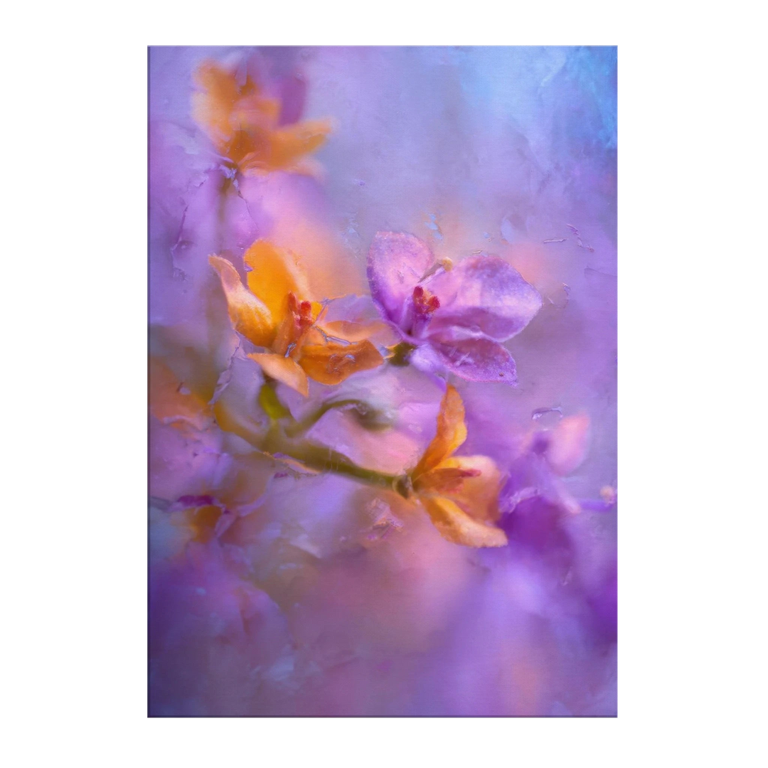 679d24cb-e2f9-4c28-9495-e9e8617478be