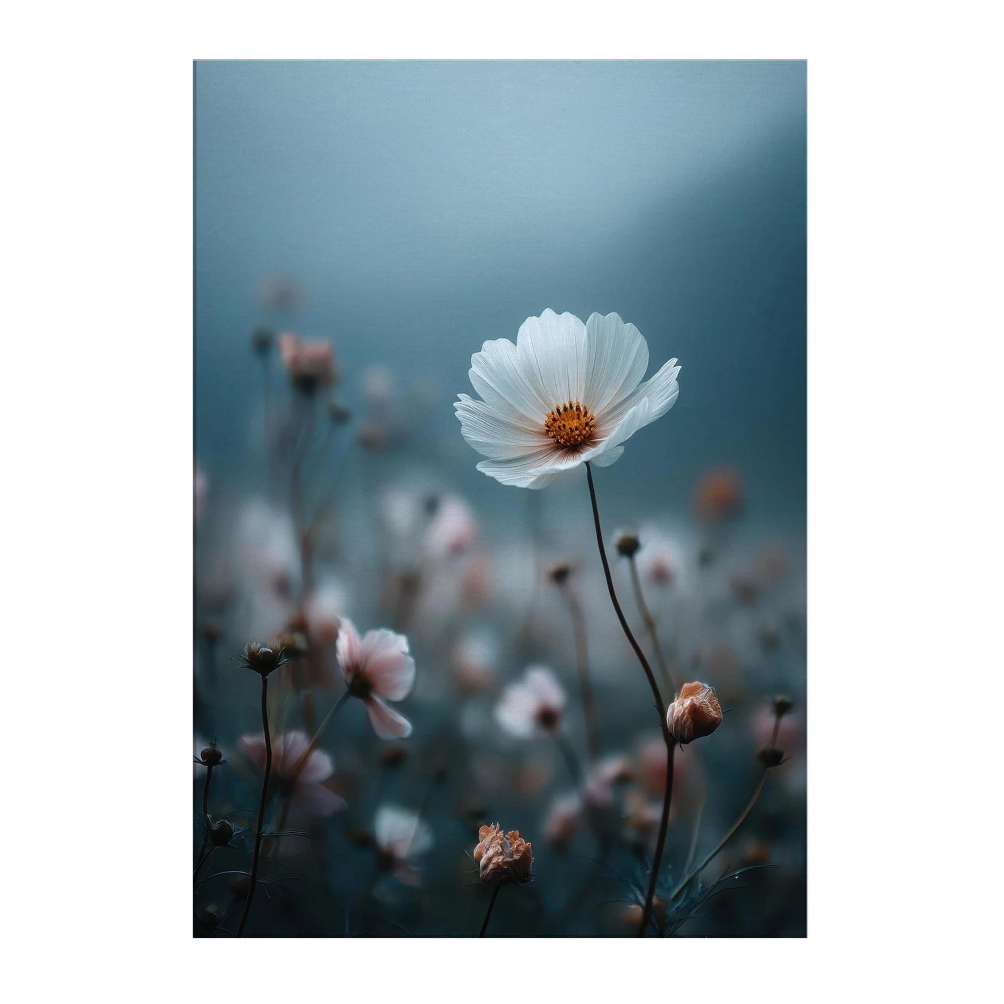 98835f16-ff57-4809-8076-cb8f87265deb