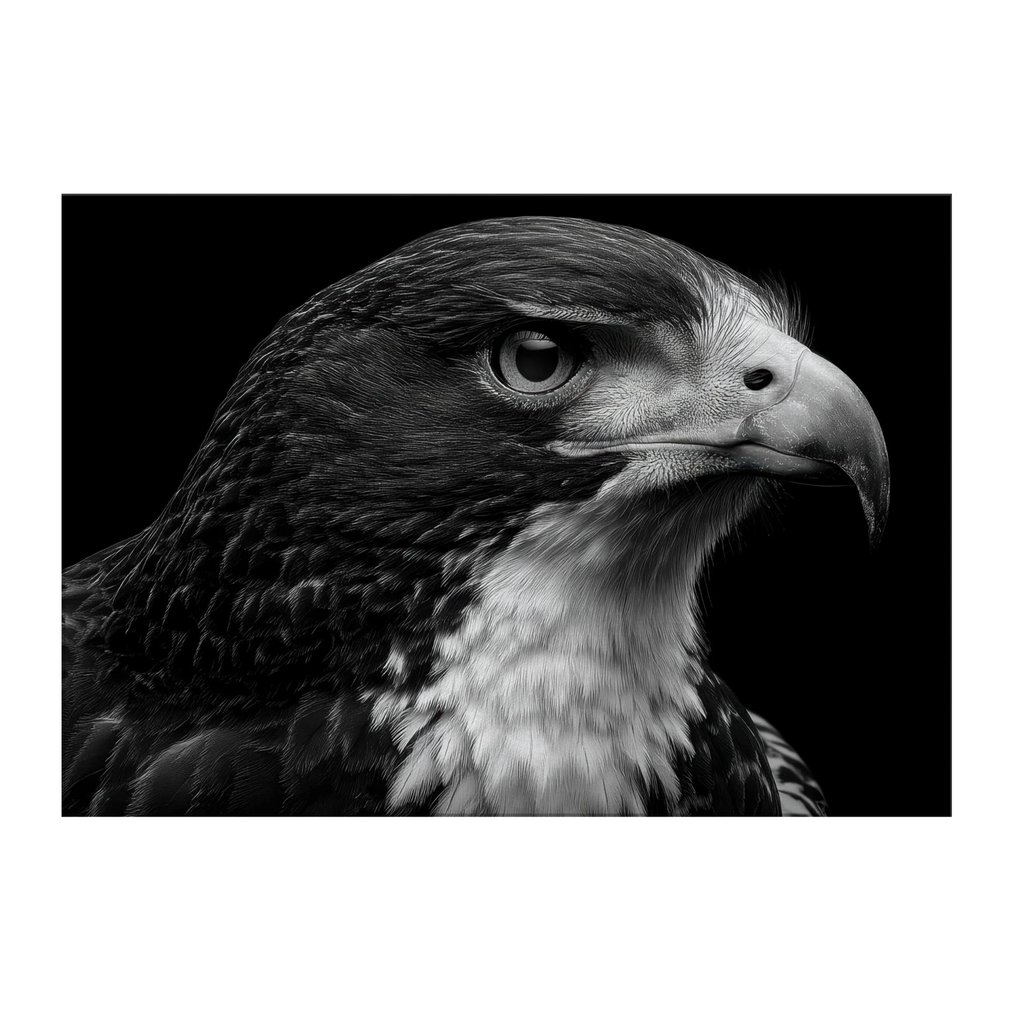 54852eb0-e210-4fd2-ba96-dd9c71d8be23