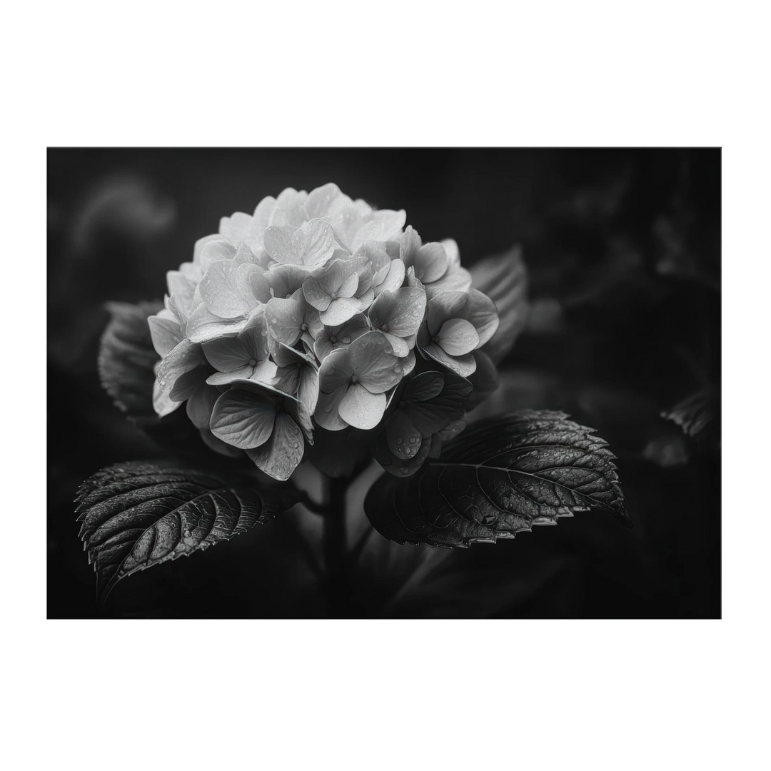 bc67915b-668a-498a-9082-d0cf3b5d2aab