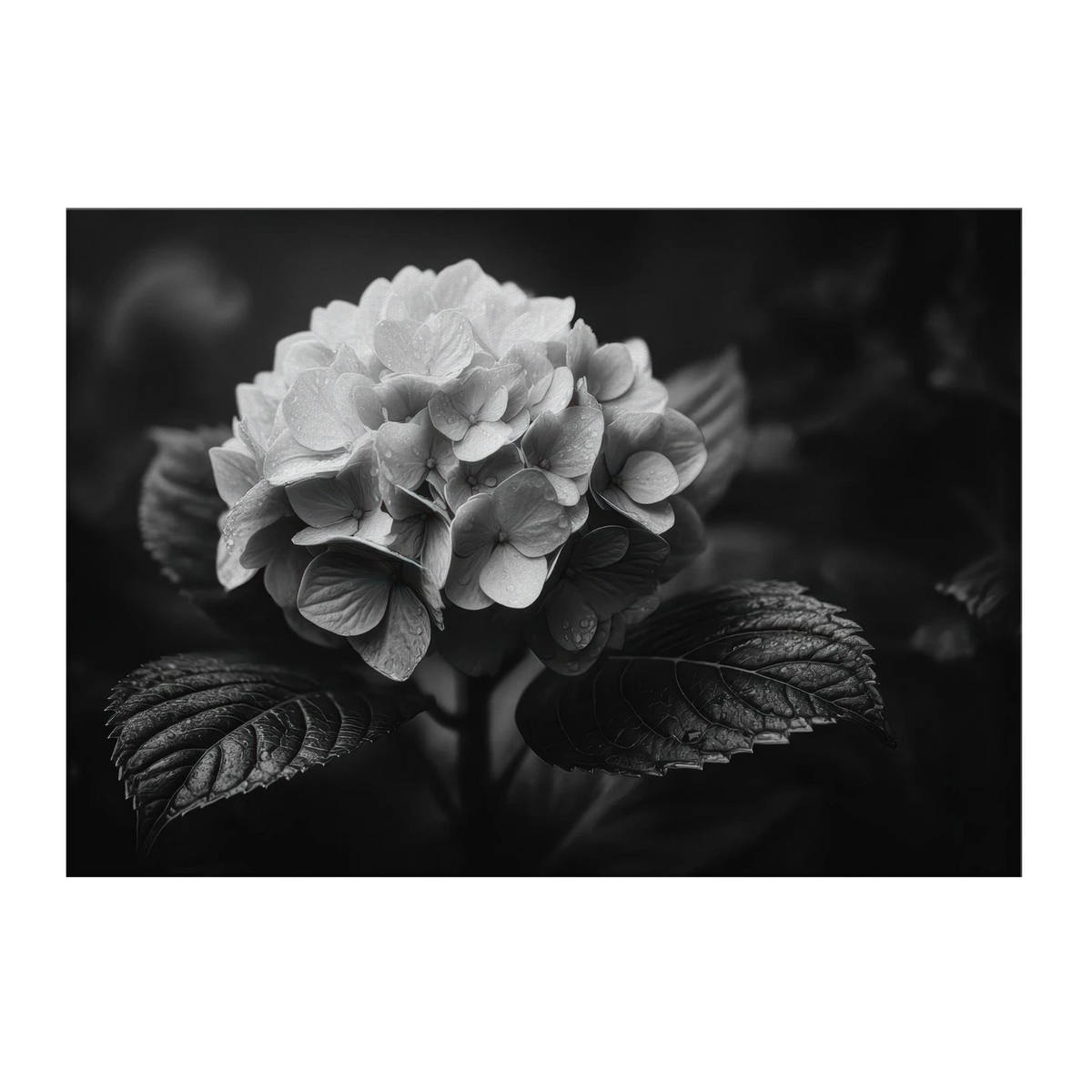 bc67915b-668a-498a-9082-d0cf3b5d2aab
