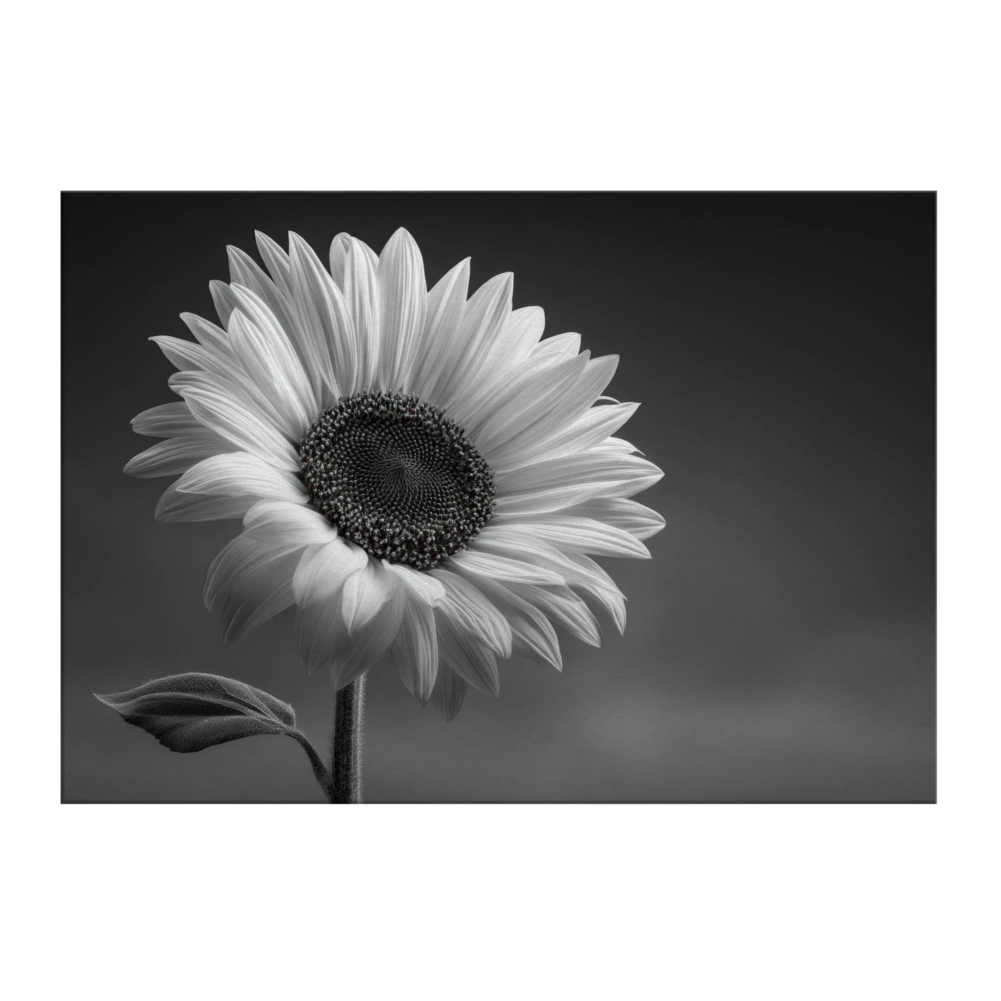 2d6b53f2-df1e-40f0-93eb-b4ce13a10e33