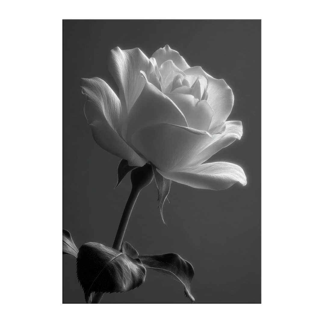80af1c64-df2b-43f5-ab60-80c3853d70c0