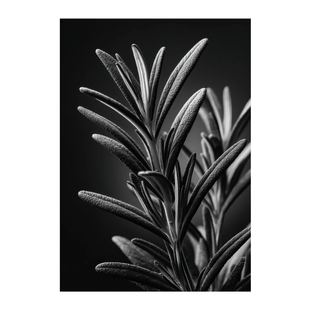d0e5eb90-2e4a-4445-a9c5-3eda7b06bc24