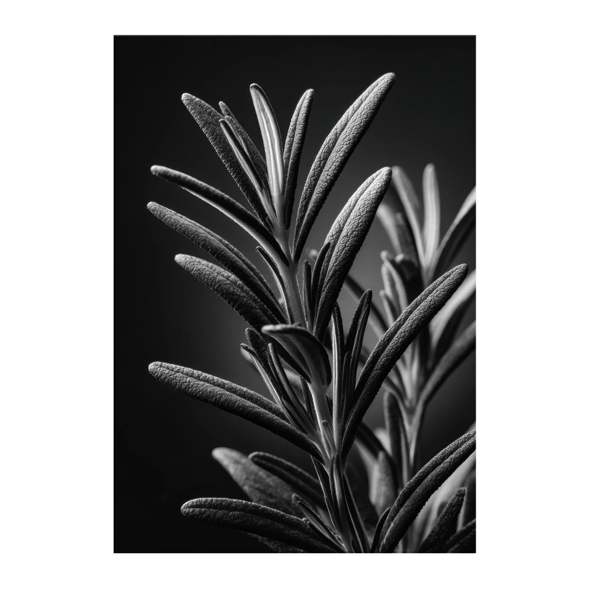 d0e5eb90-2e4a-4445-a9c5-3eda7b06bc24