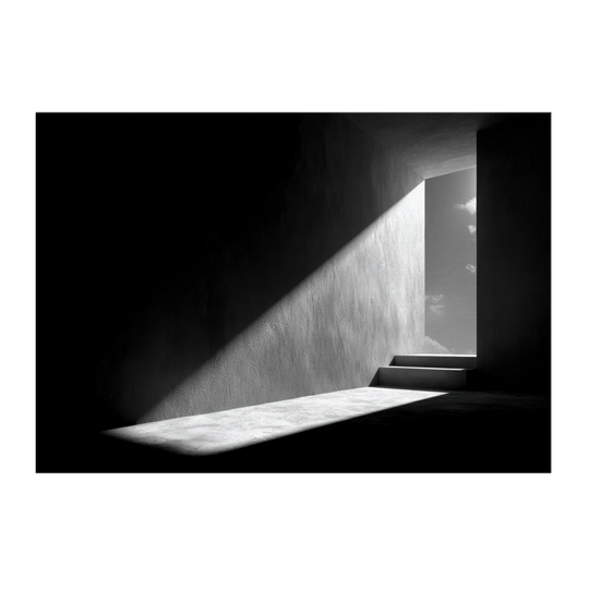 d06b902d-499c-4664-b3da-960480dc1786