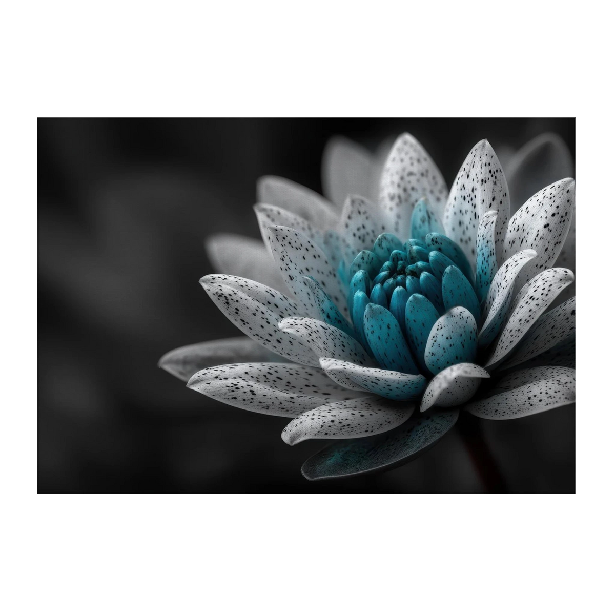 38699053-f3dc-4ce7-aa3f-b94f16b2110f