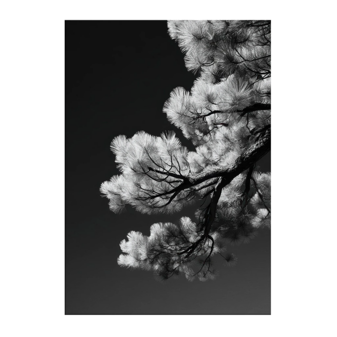 addd0b39-9114-430f-a271-b456cc821108