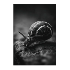 Monochrome Accent