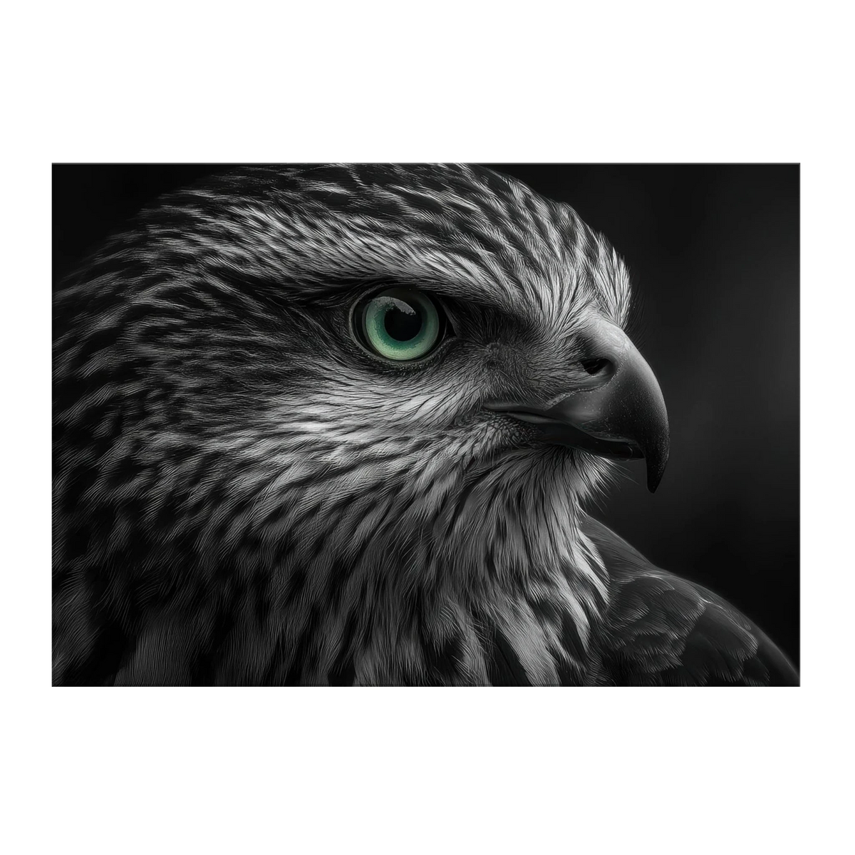 9d24e4df-8bf2-4b92-a7c4-e5705bef0431