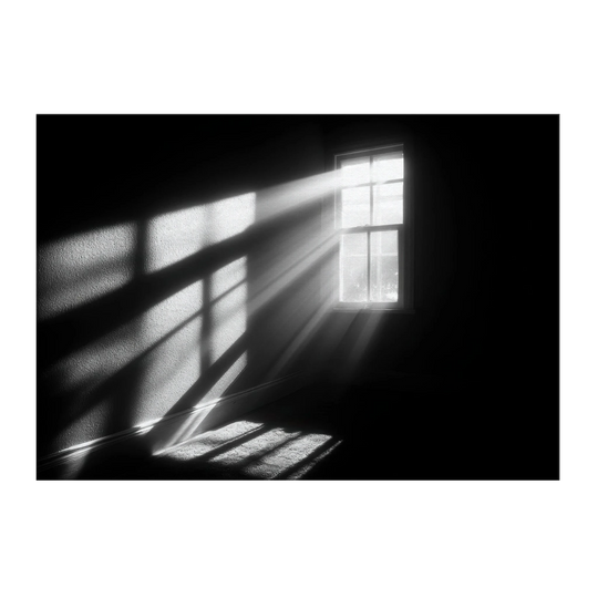5b6b3c11-3347-450e-82d6-7964b0cf2e2c