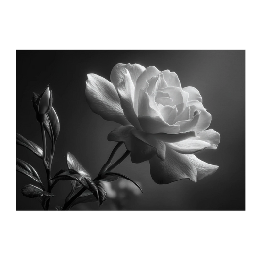 48c50631-940e-4f90-acce-450efc0c44b9
