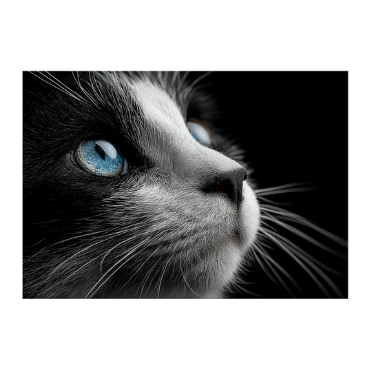 3b6f18bd-718b-4b4f-bd97-0a453360fd0b