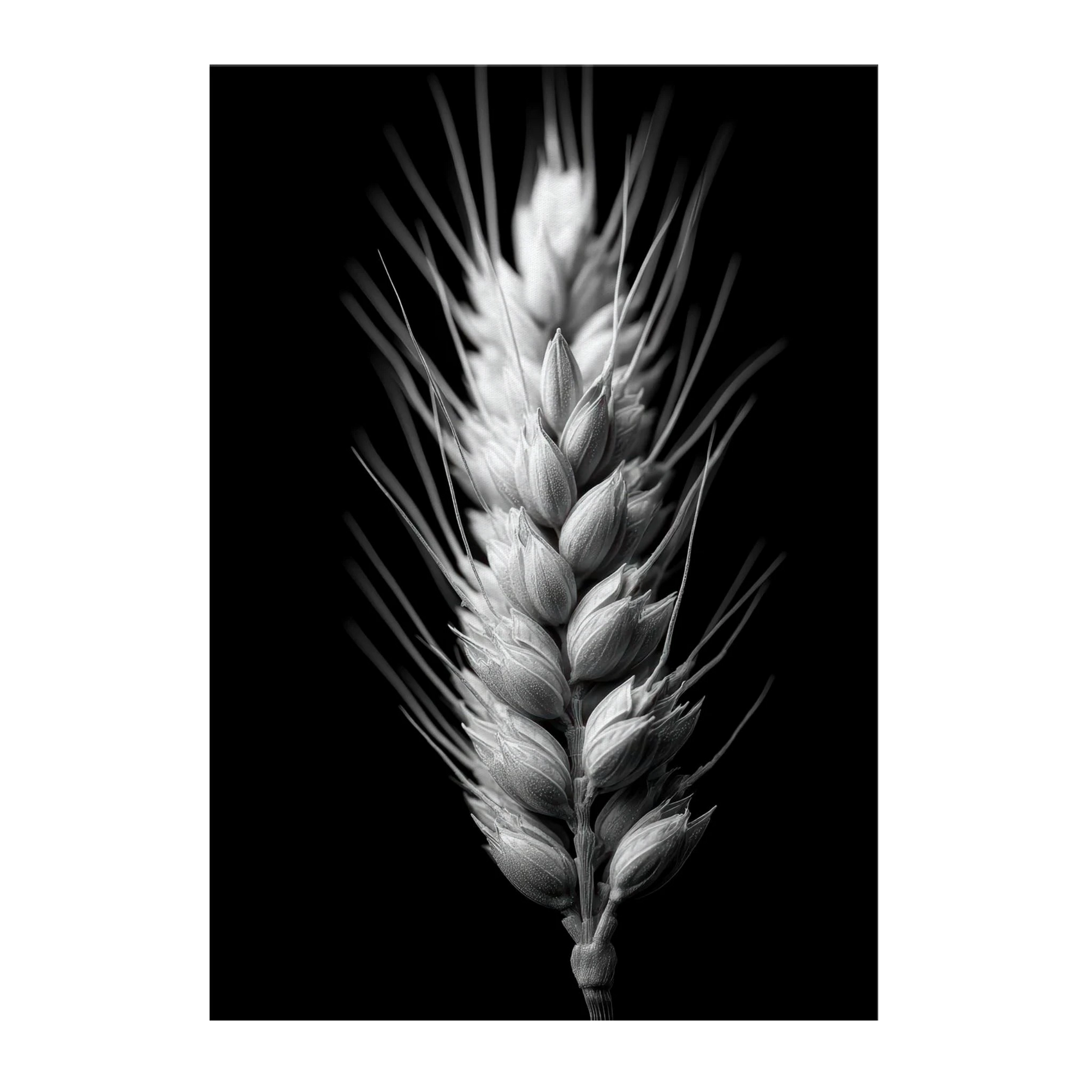 3c688420-04b9-4cbd-aaab-7a341a8b04c2