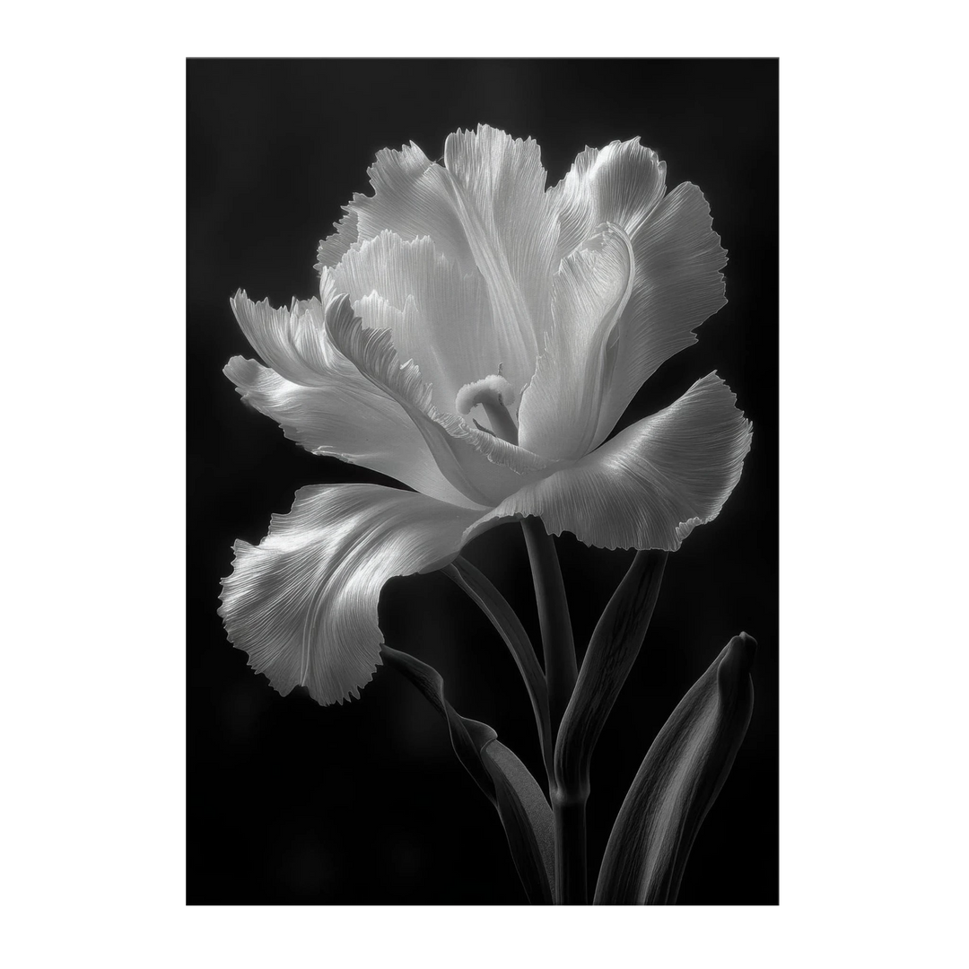 4419bf68-c536-4cf3-8dd0-b1521523c806