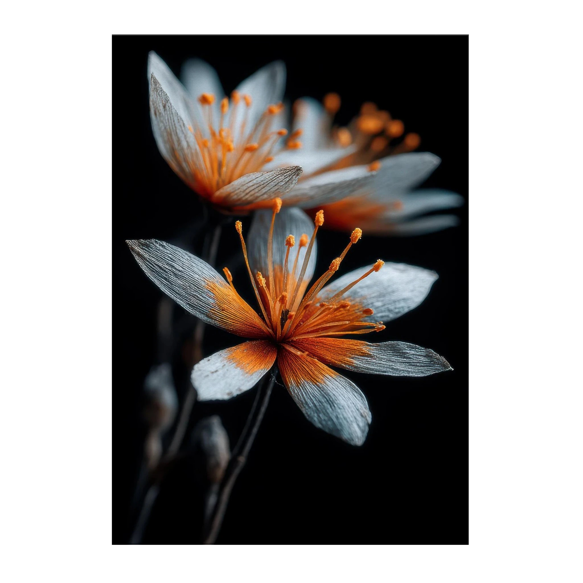 6928fd05-21c3-4d90-a6a9-3bfa2424fce3
