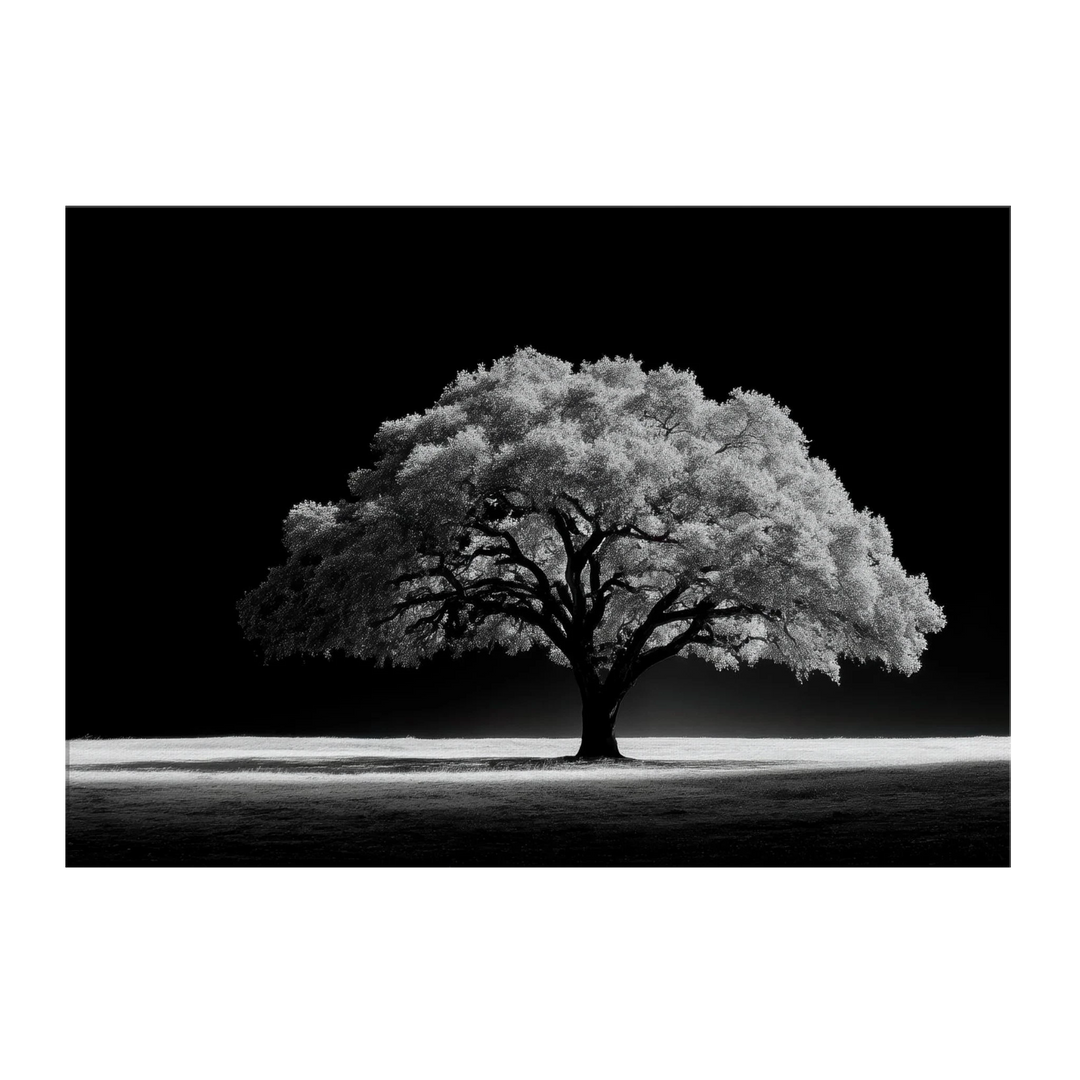 eb9bc021-5dfd-49d9-9437-ff02f6e110b1