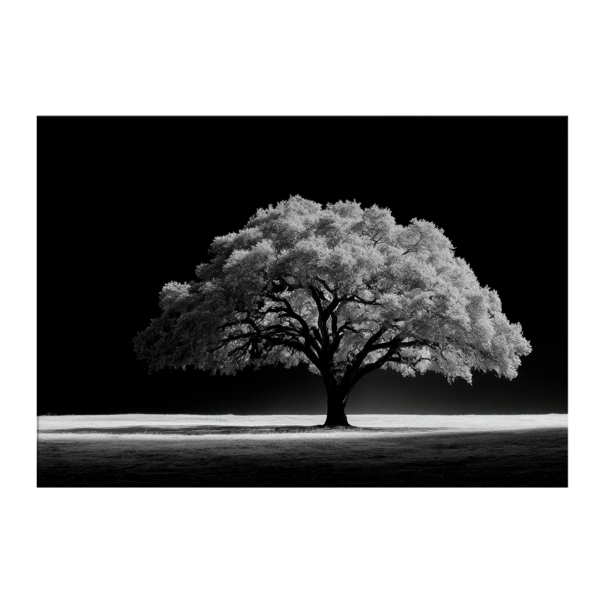 eb9bc021-5dfd-49d9-9437-ff02f6e110b1