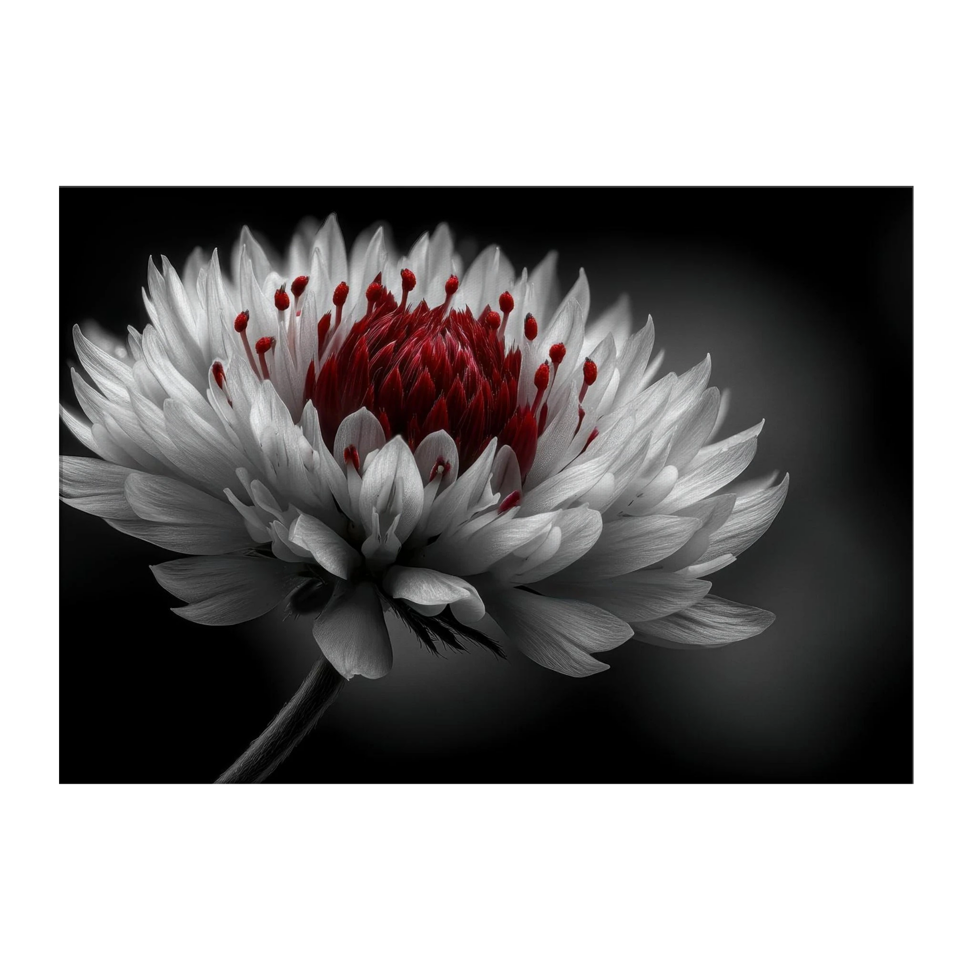 78d68e90-7e8a-49d1-bd6d-ae7ea10a6aba