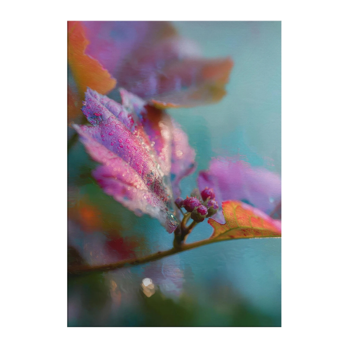 47a62757-980f-4b3e-b755-0c4564ecdcdb
