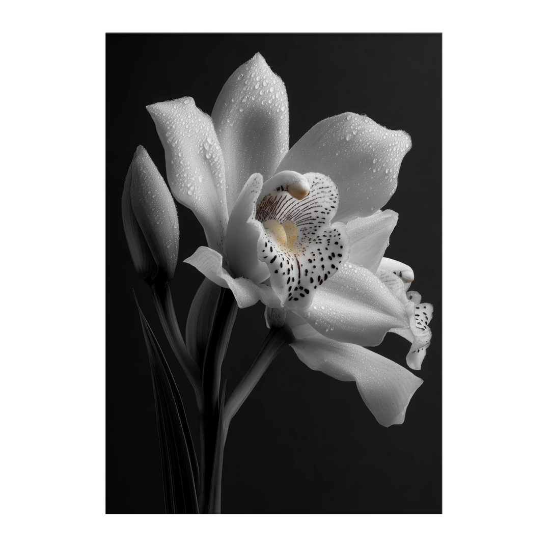 df69ebfe-3d76-4803-ae05-539d67e96cc4