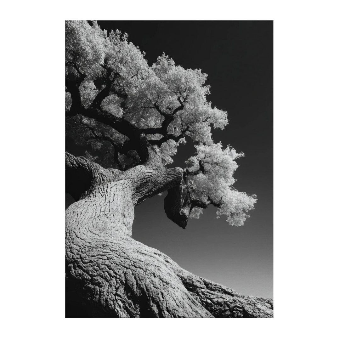 5db59805-12ef-4ffc-9e3a-a8681197e341