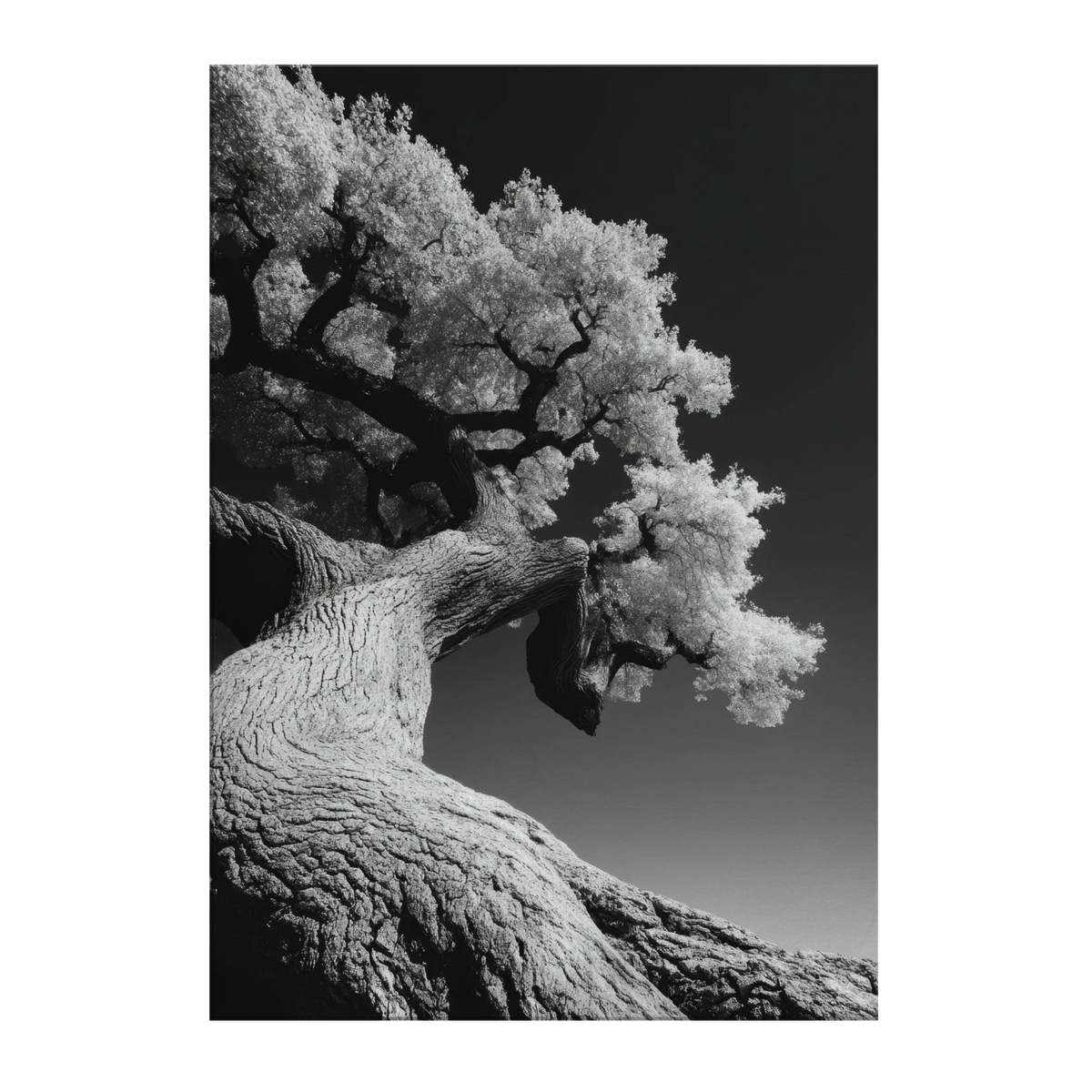 5db59805-12ef-4ffc-9e3a-a8681197e341