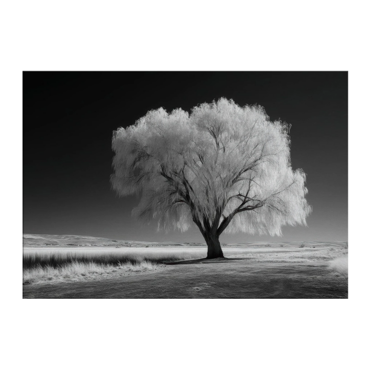 4045b81a-5ddf-4e2c-bd06-52e46c6b6e67