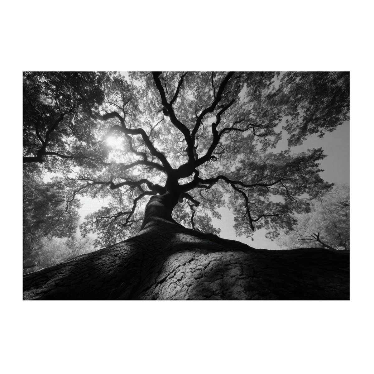 f5193ca4-e6a7-4ccb-a70a-310622a82f36