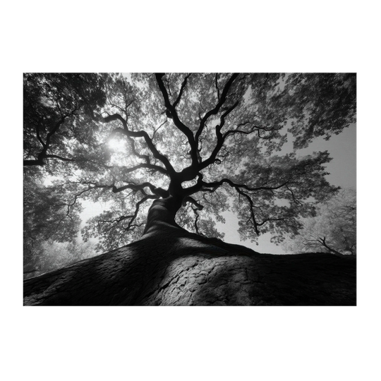 f5193ca4-e6a7-4ccb-a70a-310622a82f36
