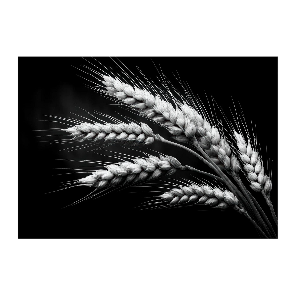 0597a670-4f99-4cad-bb73-f668b6e90595