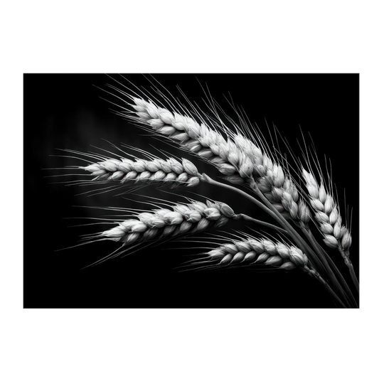 0597a670-4f99-4cad-bb73-f668b6e90595